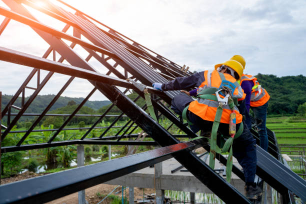 Best New Roof Installation  in Belding, MI