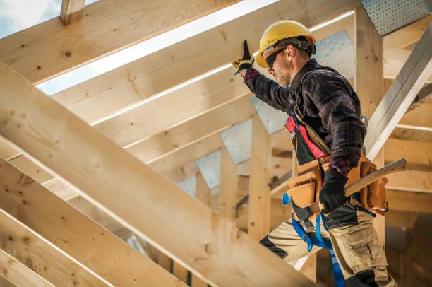Best Roof Repair Services  in Belding, MI
