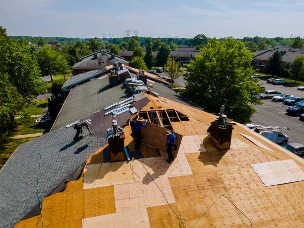 Best Flat Roof Repair Services  in Belding, MI