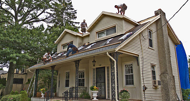 Best Roof Restoration Services  in Belding, MI